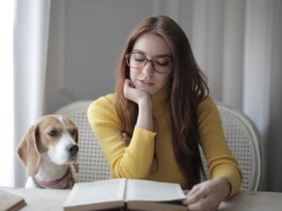 HSK 4B: HÀNH TRÌNH TÌM MẬT  (The Honey-Seeking Journey – 寻蜜之旅)