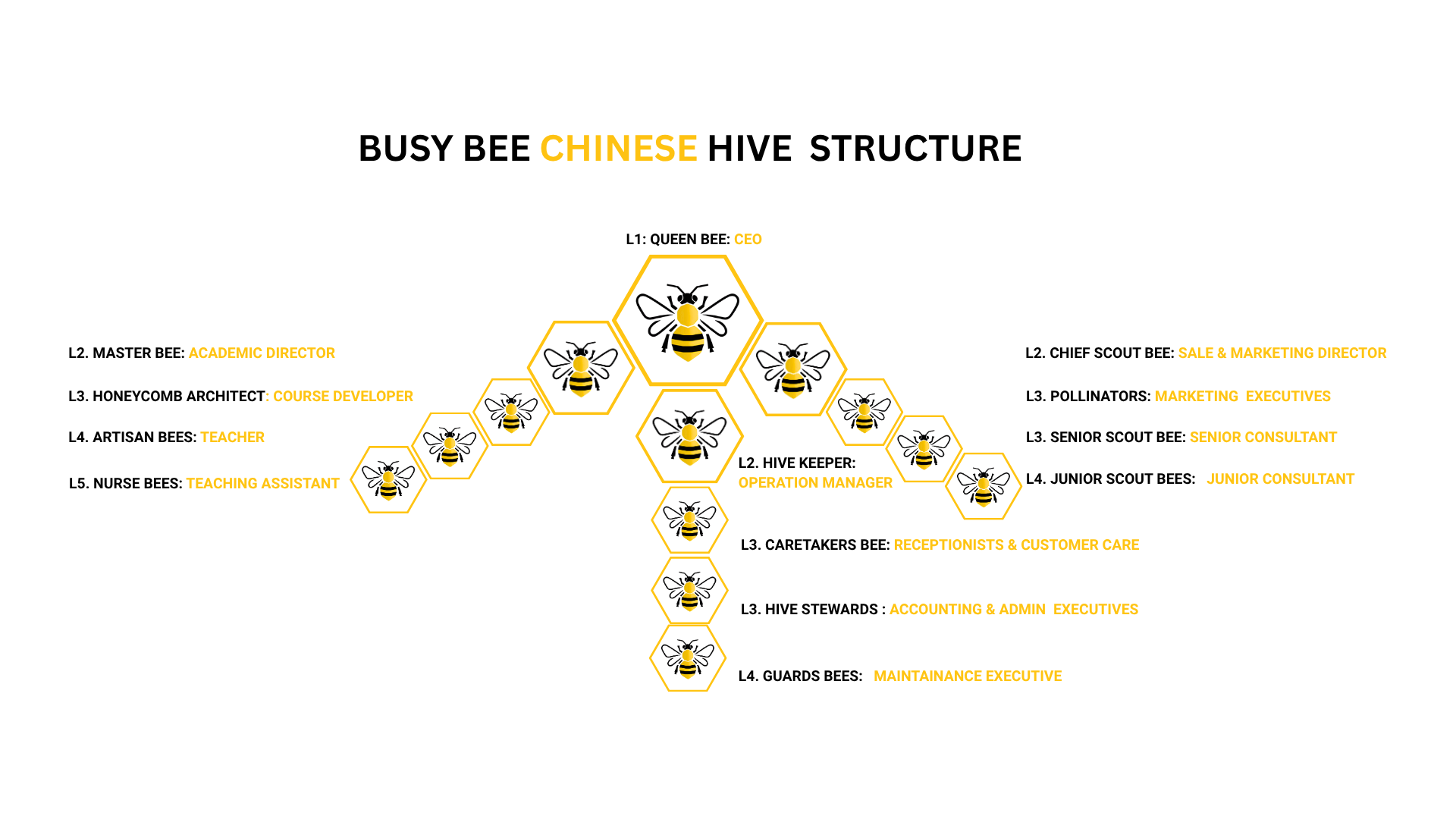 Busy Bee Hive Structure Cấu trúc Tổ Ong Busy Bee Vietnam www.busybeechinese.edu.vn